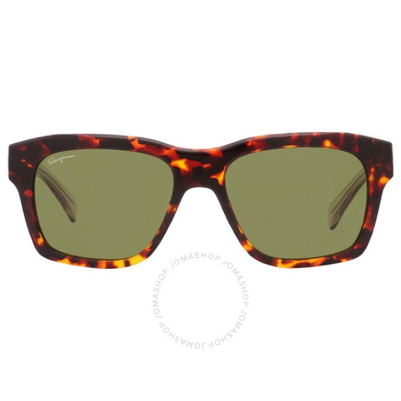 Salvatore Ferragamo Sunglasses Men.